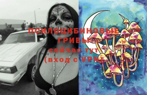 стаф Киренск