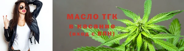 стаф Киренск
