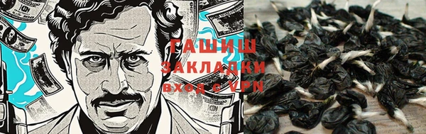 стаф Киренск