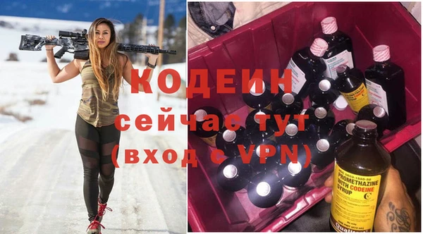 стаф Киренск