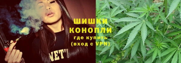 стаф Киренск