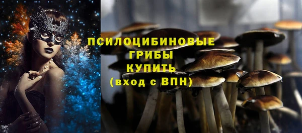 стаф Киренск