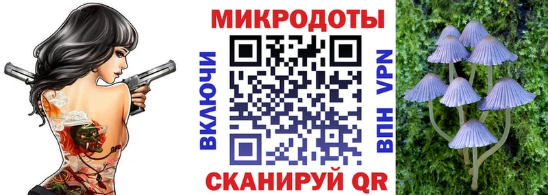 Псилоцибиновые грибы Psilocybine cubensis  где продают   Чадан 